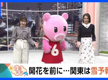 【3月10日 関東の天気】開花を前に…関東は雪予報｜TBS NEWS DIG