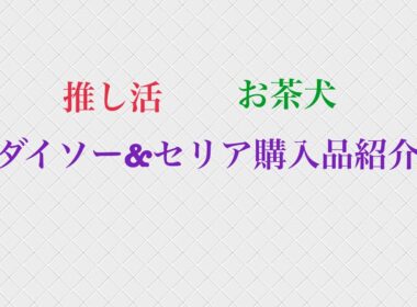 ダイソー&セリア購入品紹介