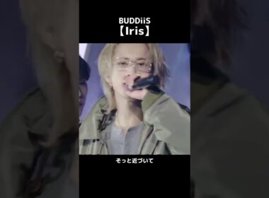 BUDDiiS がドラマの主題歌にも決定している「Iris」を披露🎶#BUDDiiS #ももいろ歌合戦 #ももいろ歌合戦2024#ももクロ #ももいろクローバーZ