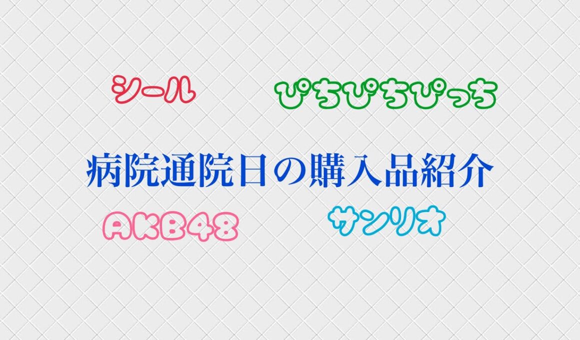 【あげ直し】病院通院日の購入品紹介