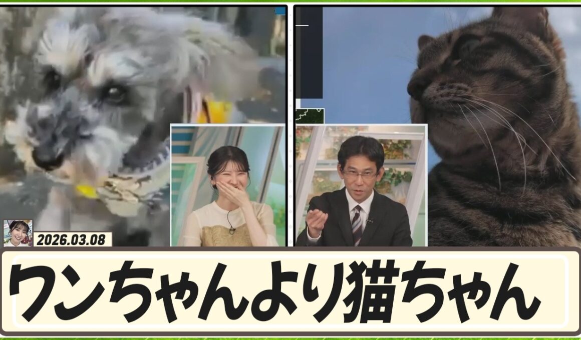 【駒木結衣】 山口さんはワンちゃんより猫ちゃんを見るとき、テンションが上がります