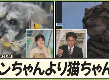 【駒木結衣】 山口さんはワンちゃんより猫ちゃんを見るとき、テンションが上がります