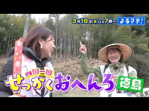 【番宣】「せっかくおへんろ」徳島編！3か国語を操る20代住職との出会い＆衝撃の生ワカメが器からはみ出す!?▽よるマチ！2026/03/18（水）よる7時!!