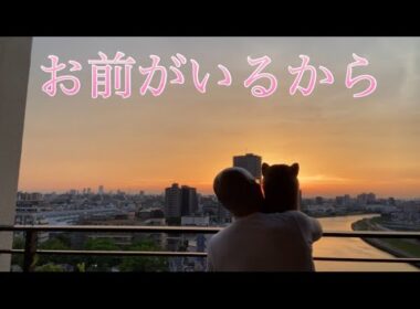 【孤独の56歳】 犬に向けて歌ったら泣きそうになった…矢沢永吉「YES MY LOVE」