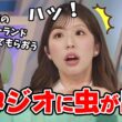 【小林李衣奈・山口剛央】スタジオに虫がいた話から「電飾のメリーゴーランド」を作る話になり番組中ずーっと盛り上がっていた李衣奈ちゃんと山口さん【ウェザーニュース切り抜き】