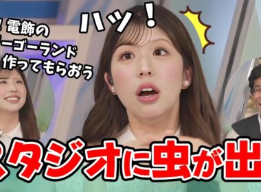 【小林李衣奈・山口剛央】スタジオに虫がいた話から「電飾のメリーゴーランド」を作る話になり番組中ずーっと盛り上がっていた李衣奈ちゃんと山口さん【ウェザーニュース切り抜き】