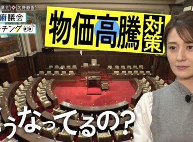 大阪府議会×久野静香 大阪府議会ウォッチング「物価高騰対策どうなってるの？」
