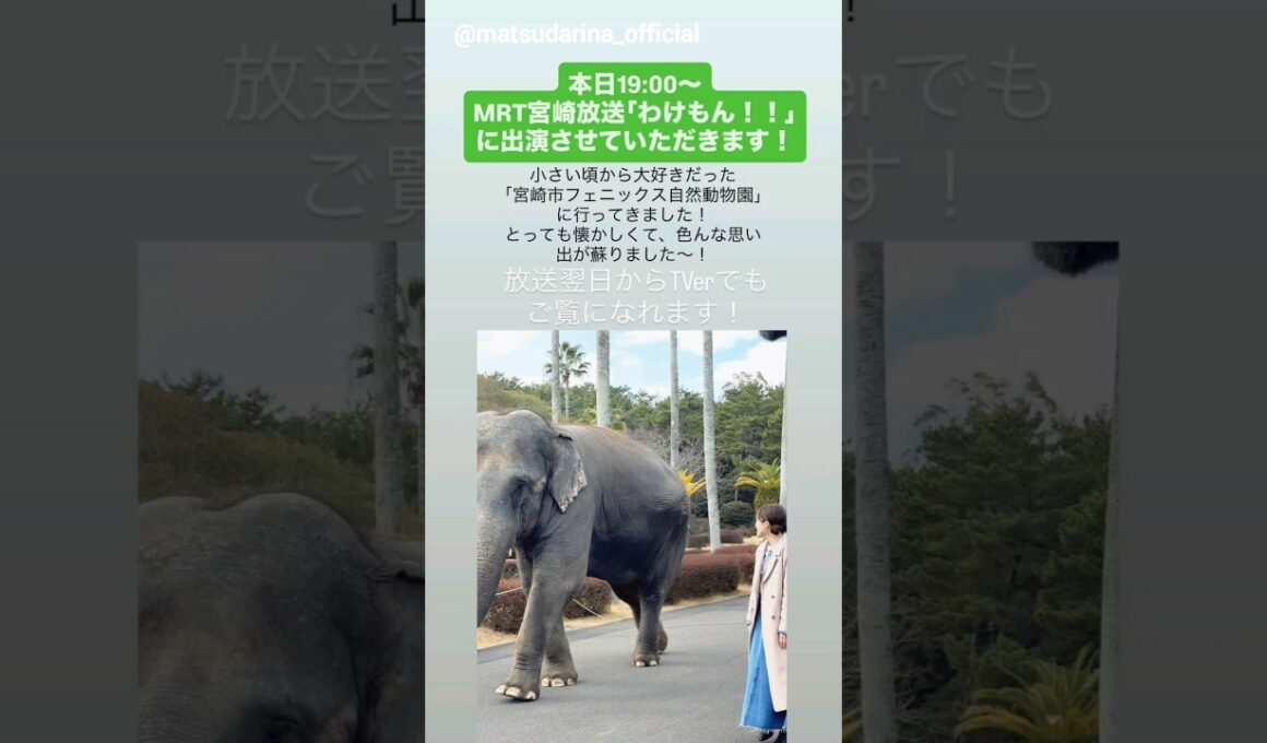 松田里奈 まもなく！本日3月18日19:00～MRT宮崎放送「わけもん！！」にVTR出演します！櫻坂46
