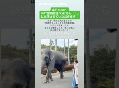 松田里奈 まもなく！本日3月18日19:00～MRT宮崎放送「わけもん！！」にVTR出演します！櫻坂46