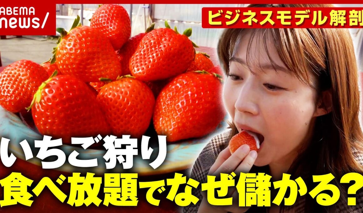 【いちご狩り】なぜ「食べ放題」で儲かる？何個食べたら元が取れる？農家が明かすビジネスモデルの裏側｜ABEMA的ニュースショー