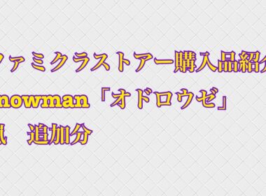 ファミクラストア購入品紹介〜snowman、嵐〜