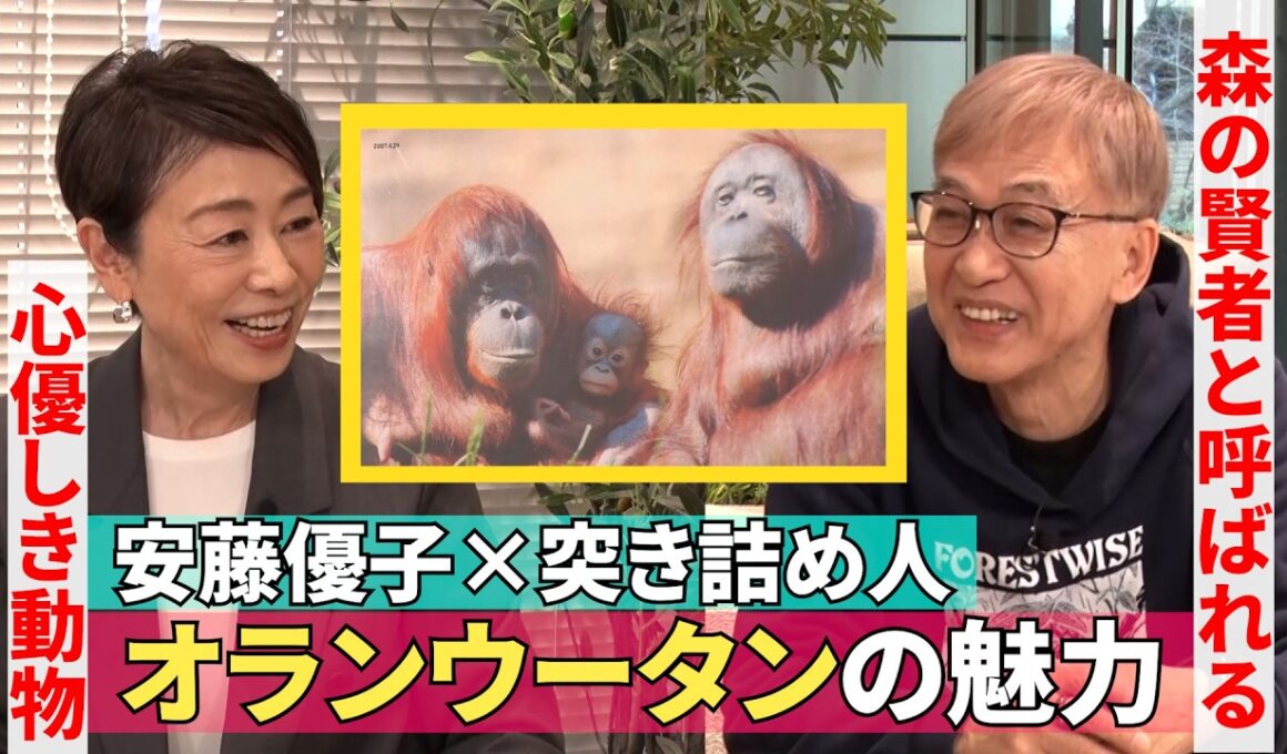 【“森の賢者”と呼ばれるオランウータンの魅力】#255《安藤優子×日本オランウータン・リサーチセンター代表》