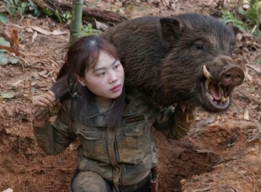 Tracking wild boar tracks, skills to craft traps to catch wild boars, survival alone