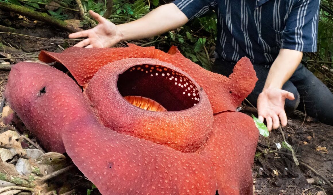 うわああああああああああああ！！！！！！！！！！！