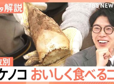 今年はタケノコ「表年」で豊作？ えぐみを抑える選び方と“米ぬか不要”のアク抜き術【Nスタ解説】｜TBS NEWS DIG