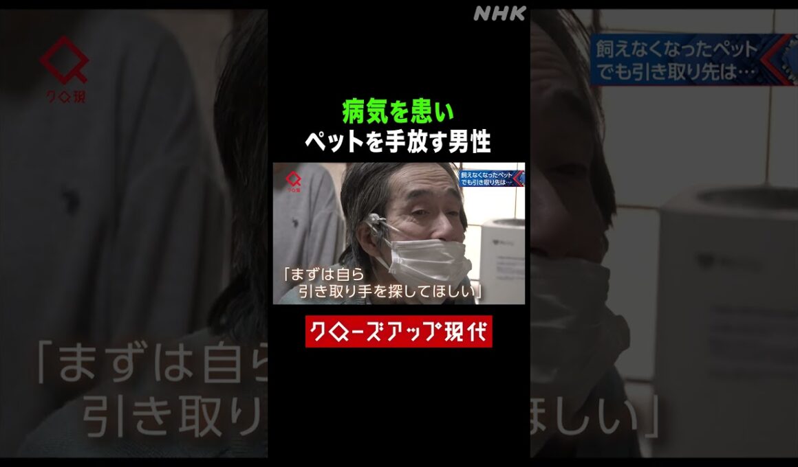 病気を患いペットを手放す男性 行政が引き取りづらい理由とは【クロ現】| NHK | #shorts