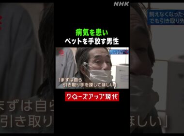 病気を患いペットを手放す男性 行政が引き取りづらい理由とは【クロ現】| NHK | #shorts