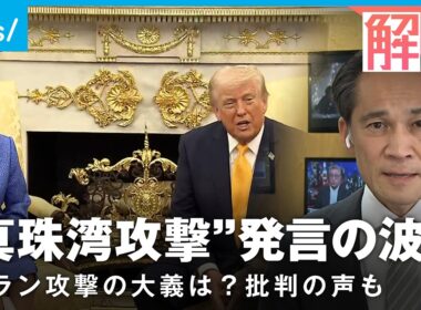 【日米首脳会談】日本の成果分析「否定的な発言避け、“貢献”を伝えられた」トランプ氏は“ホルムズ海峡での役割”を強調｜ANNワシントン支局 梶川幸司支局長