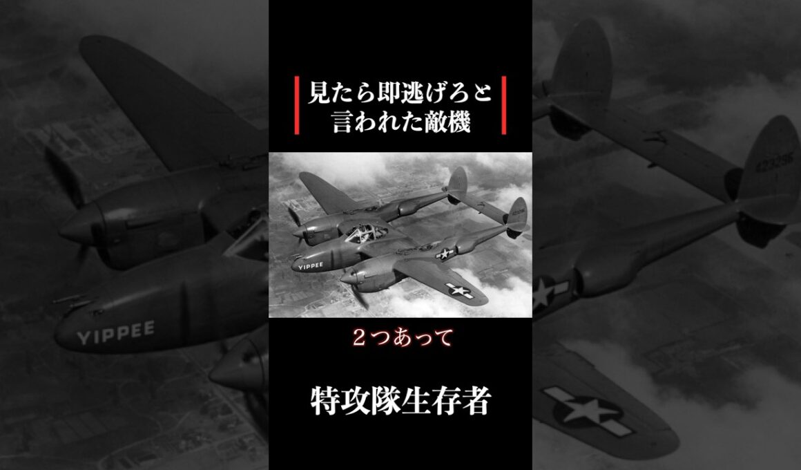 【特攻隊員の戦争体験】見たら即逃げろと言われたアメリカ軍戦闘機 #歴史 #名言 #戦後