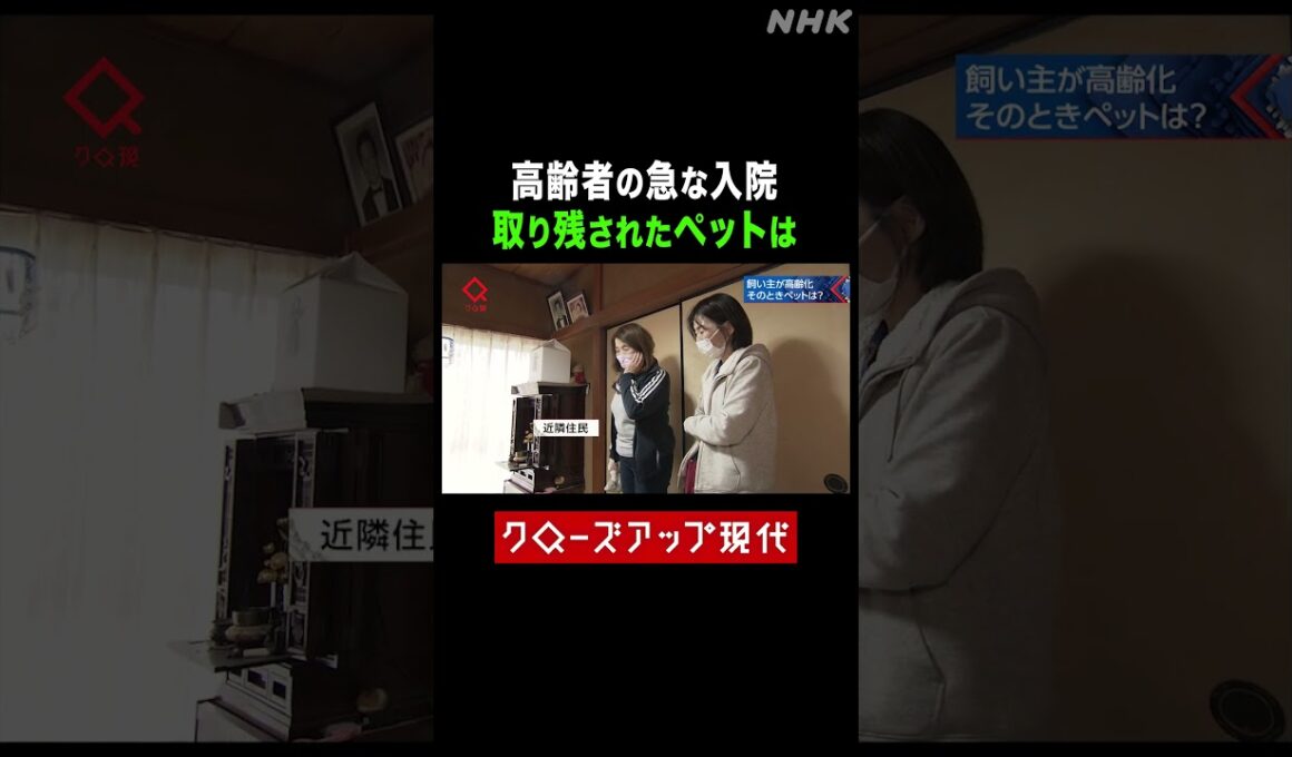 高齢者の急な入院 自宅に取り残されたペットは【クロ現】| NHK | #shorts