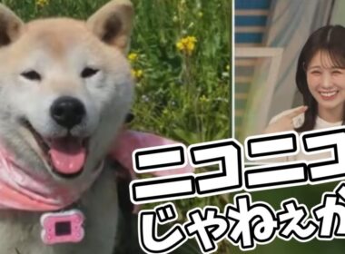 【戸北美月】ニコニコの犬さんに癒されるお天気お姉さん