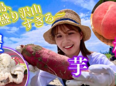 【ご縁に感謝】糖度２０％超え！激甘ピーチに感動！！