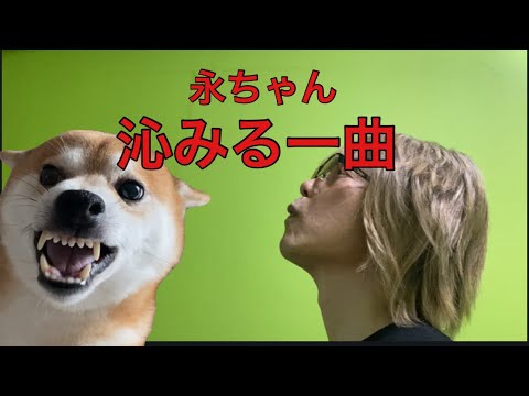 【孤独の56歳】この歳になると沁みる…矢沢永吉「YES MY LOVE」歌ってみた