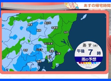 【3月25日 関東の天気】帰宅時間は雨｜TBS NEWS DIG