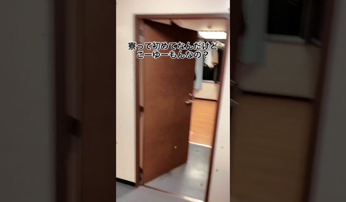 今日から寮生活なんだけど何らかの手違いで地獄にいる