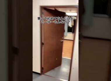 今日から寮生活なんだけど何らかの手違いで地獄にいる