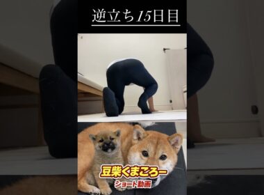 2026年3月24日