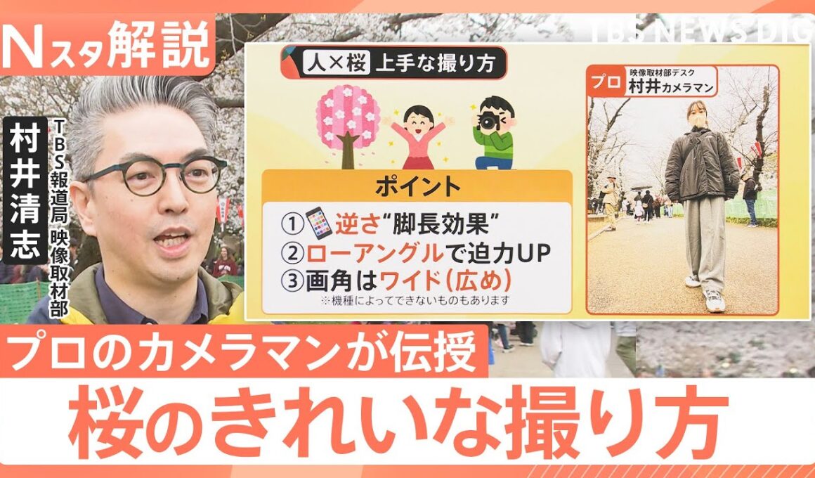 桜をスマホで上手に撮りたい！「曇ると色が…」「良い角度は？」プロが伝授 悩みを解決【Nスタ解説】｜TBS NEWS DIG
