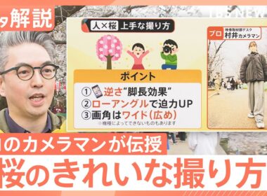 桜をスマホで上手に撮りたい！「曇ると色が…」「良い角度は？」プロが伝授 悩みを解決【Nスタ解説】｜TBS NEWS DIG