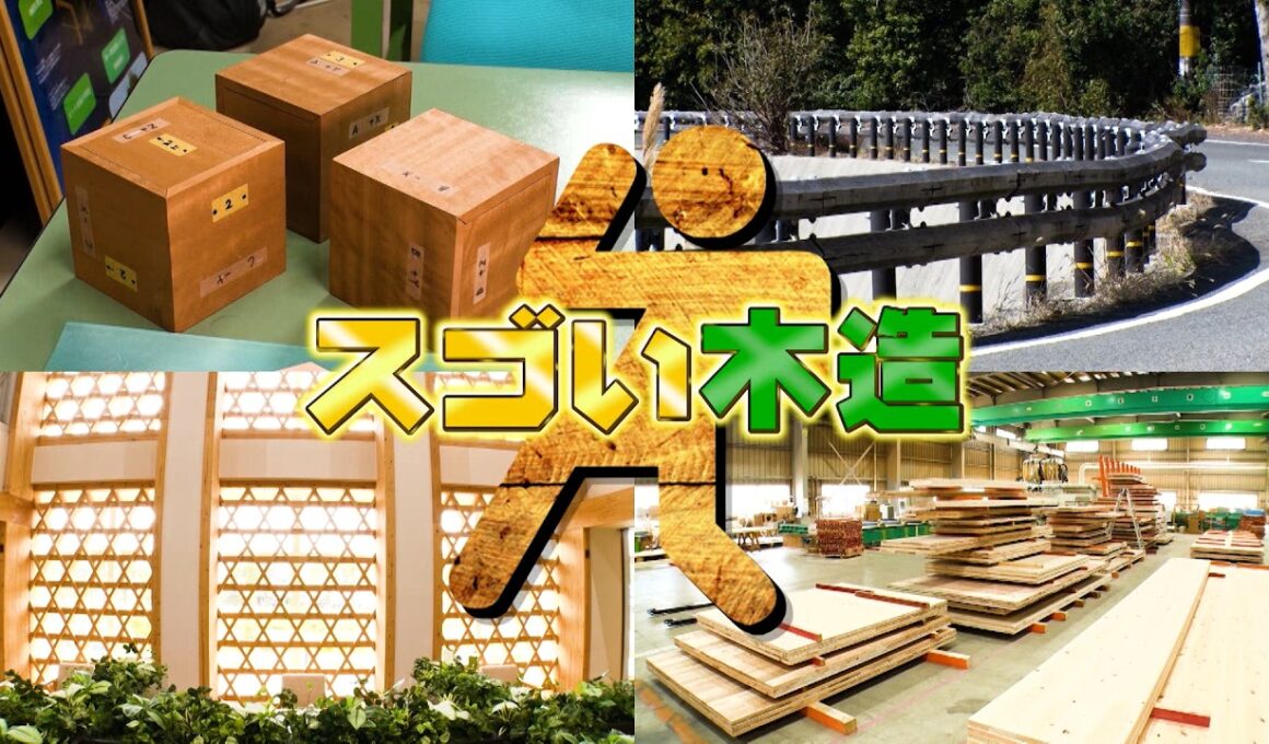 『がっちりマンデー!!』スゴい木造ビジネス! 木造8階建ビル!? 木造ガードレール!? 4/5(日)【TBS】