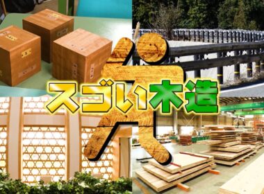 『がっちりマンデー!!』スゴい木造ビジネス! 木造8階建ビル!? 木造ガードレール!? 4/5(日)【TBS】