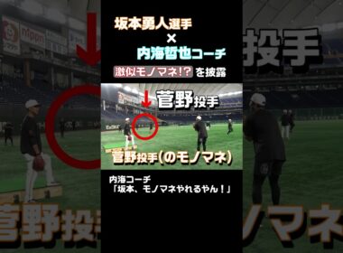 坂本勇人が投手モノマネを披露！内海哲也コーチが絶賛!? #shorts