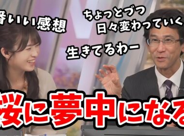 【山岸愛梨・山口剛央】桜プロジェクトの担当者も大喜びしそうなぐらいマイ桜にハマる山口さん【ウェザーニュース切り抜き】