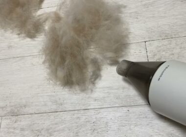【孤独の56歳】柴犬の換毛期これが現実です