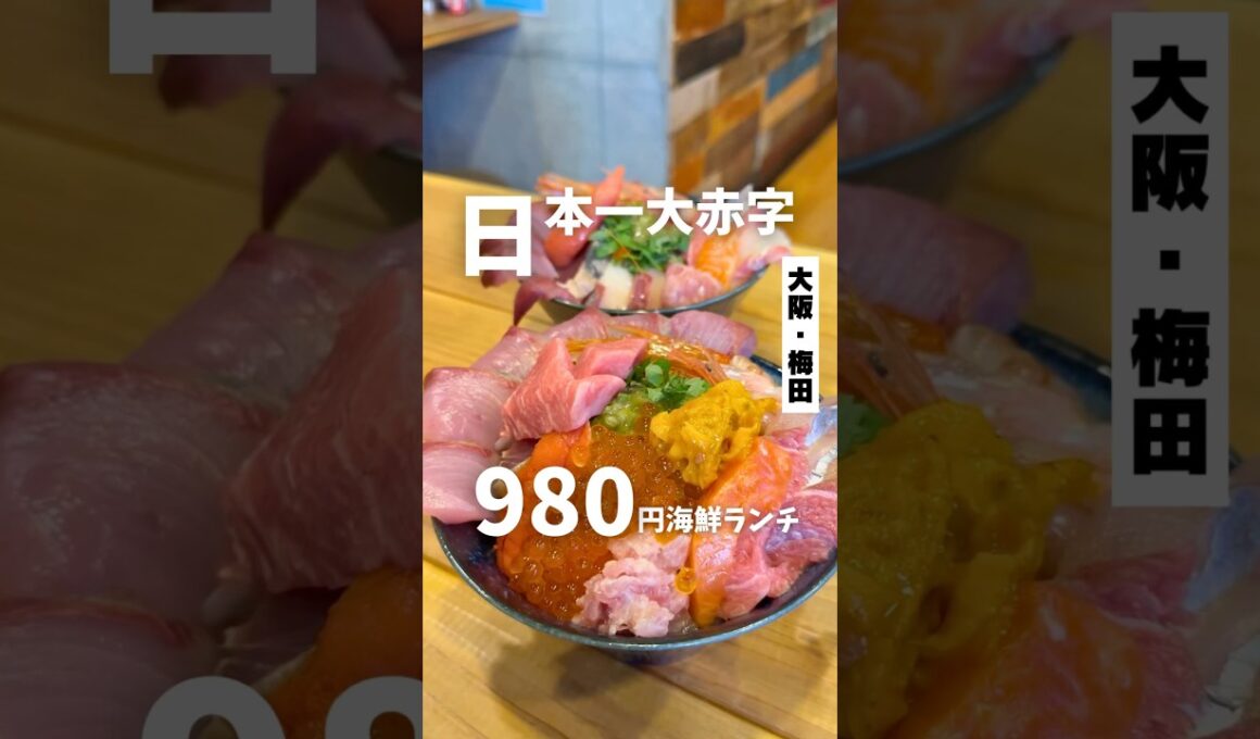 【日本一大赤字の980円海鮮丼ランチ】「地下鉄 東梅田駅から徒歩10分」📍almalio #大阪グルメ #大阪ランチ #梅田グルメ #大阪海鮮丼 #osakafood