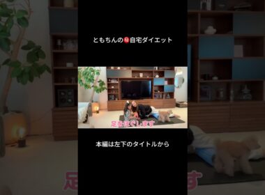 ともちんとベビちんの自宅ダイエット