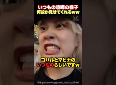 【これ喧嘩...？笑】可愛らしすぎるコハルとマヒナのいつもの？喧嘩の様子www