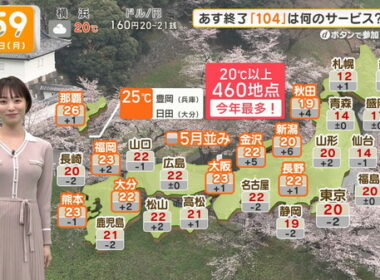 【画像】今日の今井春花さん　3.30