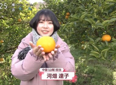 【画像】昨日の河畑達子さん　3.5