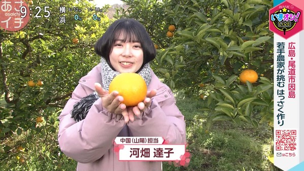 【画像】昨日の河畑達子さん　3.5