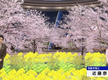 【画像】今日の近藤奈央さん　3.30