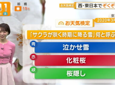 【画像】今日の今井春花さん 3.21