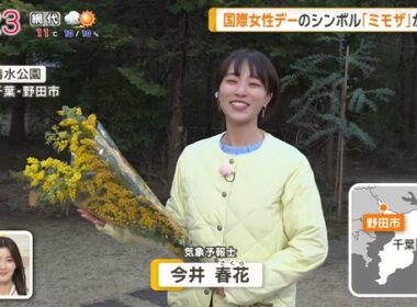 【画像】今日の今井春花さん 3.8