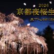 【KBS京都/BS11】京都夜桜生中継2026～天下人ゆかりの桜～／出演：近藤芳正、木下昌輝、髙橋　拓児、海平和（2026年4月1日放送）