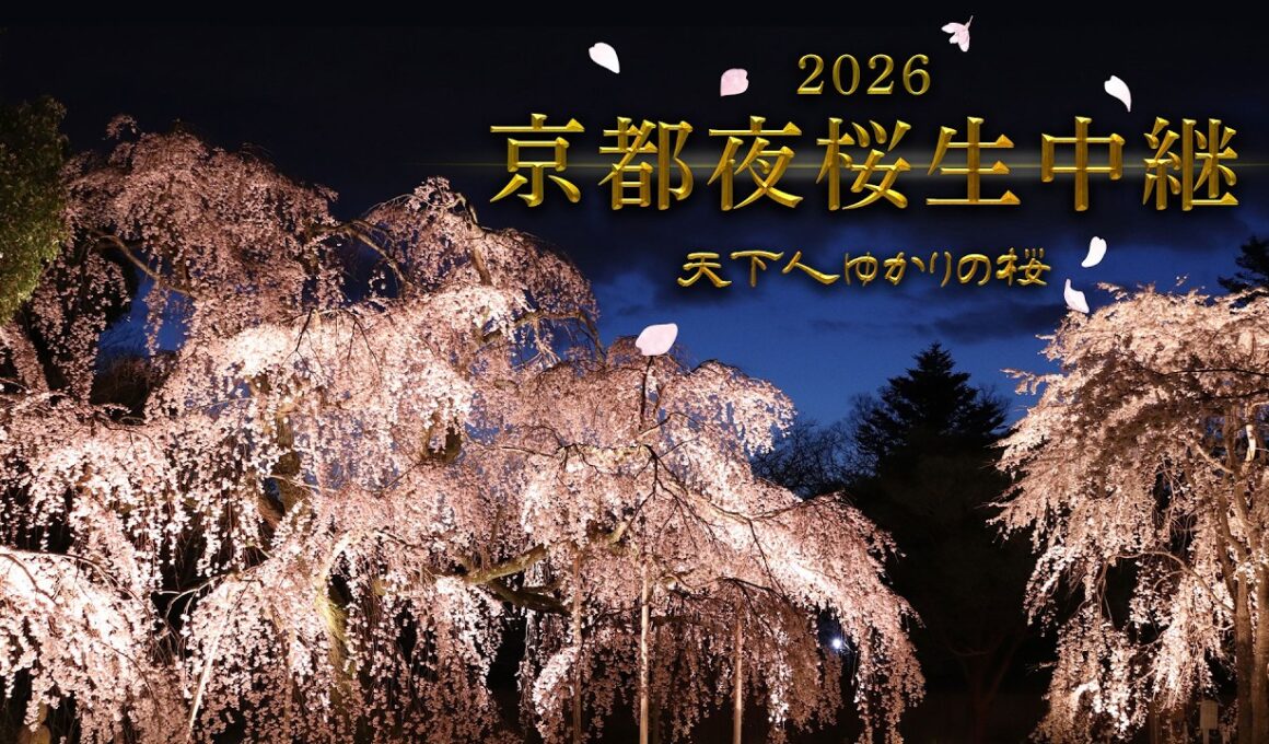 【KBS京都/BS11】京都夜桜生中継2026～天下人ゆかりの桜～／出演：近藤芳正、木下昌輝、髙橋　拓児、海平和（2026年4月1日放送）