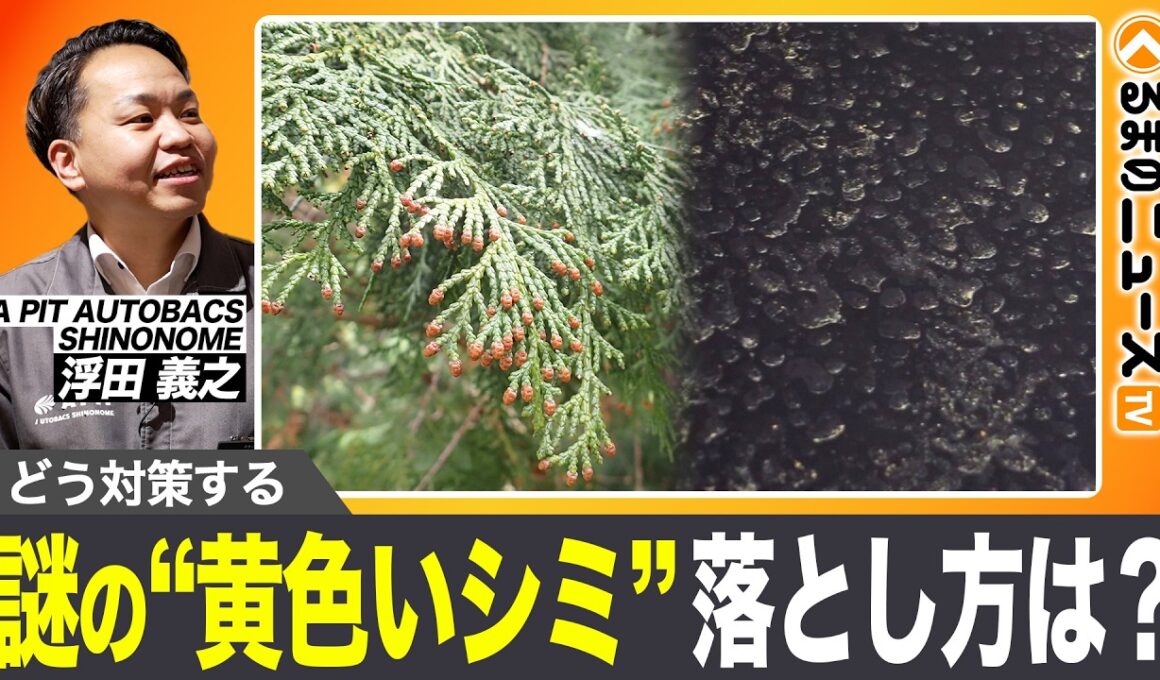 【放置NG】花粉でボディが痛む!?やってはいけない洗車をプロが警告|くるまのニュースTV